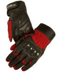 Textile And Leather Racing Glove